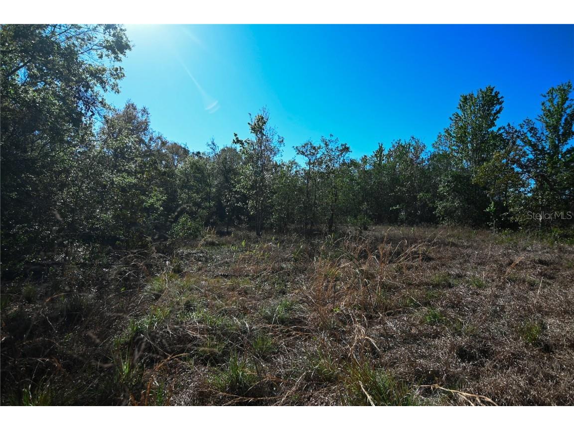 Pablo Island Road Groveland FL 34736 - BIG BLUFF LAKE R4909058 image17