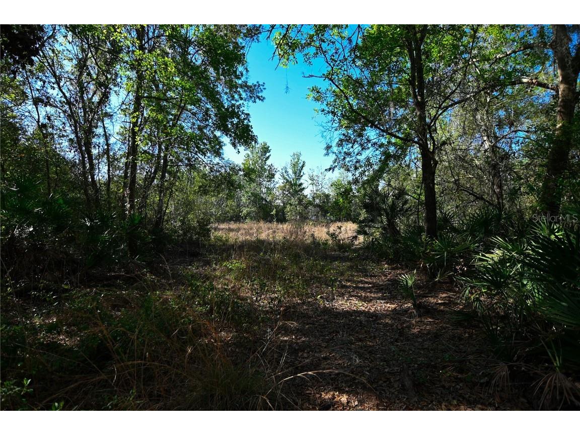 Pablo Island Road Groveland FL 34736 - BIG BLUFF LAKE R4909058 image18