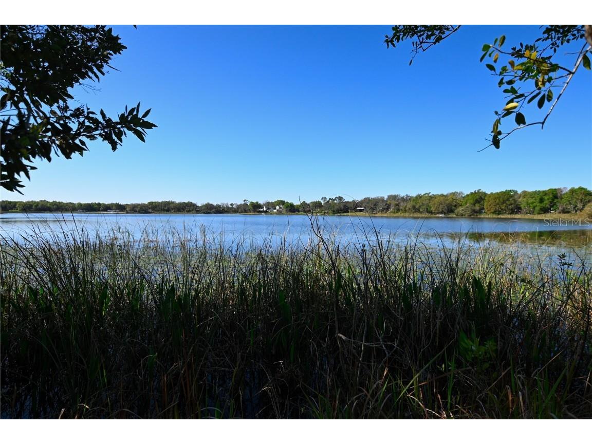 Pablo Island Road Groveland FL 34736 - BIG BLUFF LAKE R4909058 image2