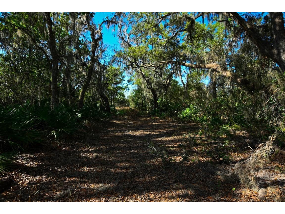 Pablo Island Road Groveland FL 34736 - BIG BLUFF LAKE R4909058 image20