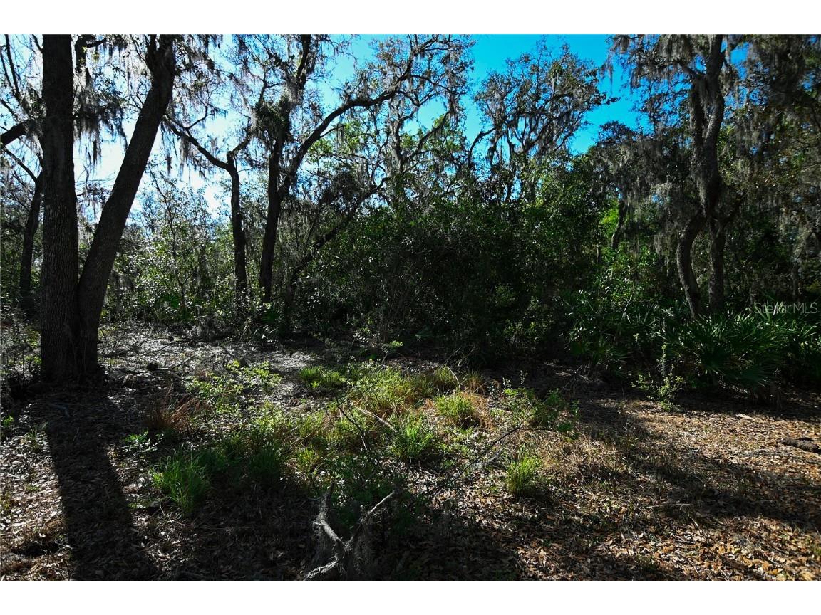 Pablo Island Road Groveland FL 34736 - BIG BLUFF LAKE R4909058 image21