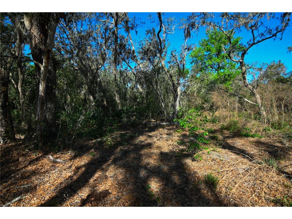 Pablo Island Road Groveland FL 34736 - BIG BLUFF LAKE R4909058 image22