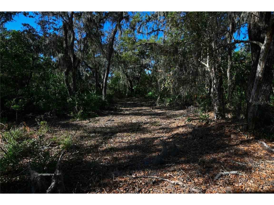Pablo Island Road Groveland FL 34736 - BIG BLUFF LAKE R4909058 image23