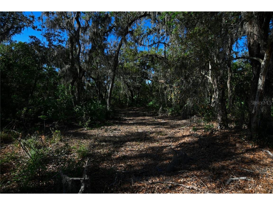 Pablo Island Road Groveland FL 34736 - BIG BLUFF LAKE R4909058 image24