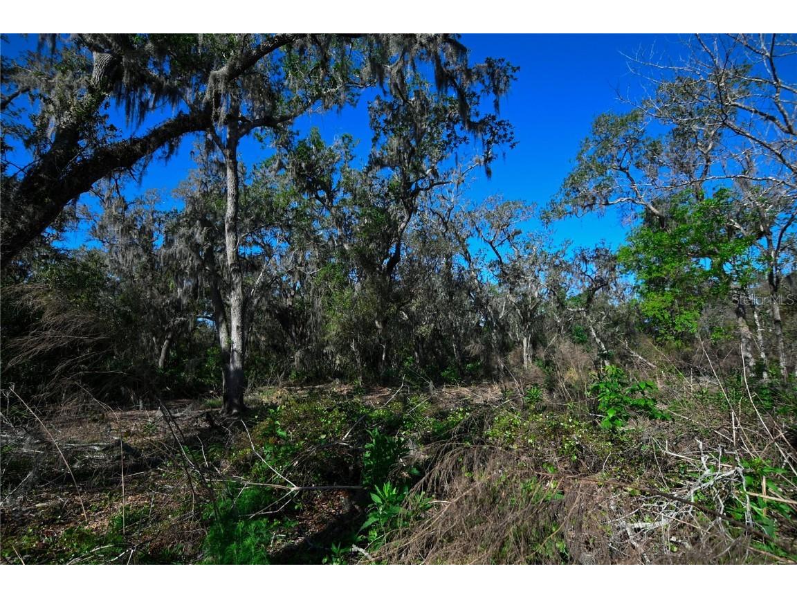 Pablo Island Road Groveland FL 34736 - BIG BLUFF LAKE R4909058 image25