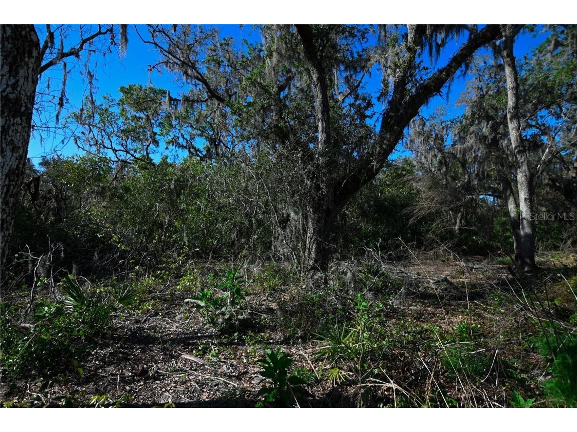 Pablo Island Road Groveland FL 34736 - BIG BLUFF LAKE R4909058 image26