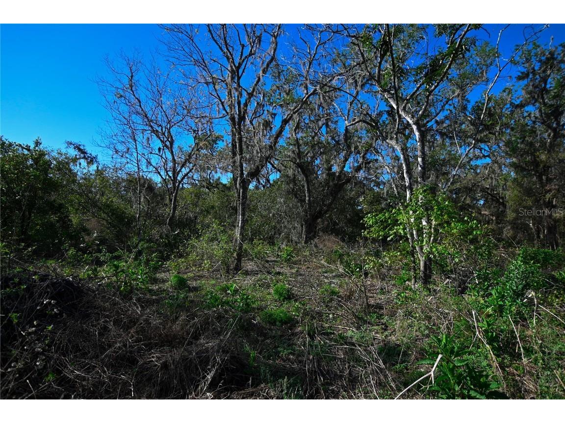 Pablo Island Road Groveland FL 34736 - BIG BLUFF LAKE R4909058 image27