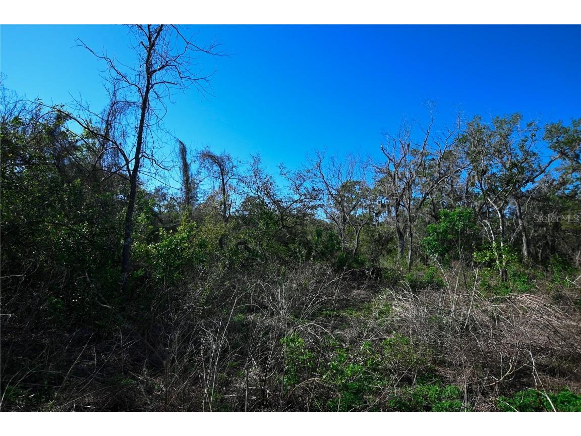 Pablo Island Road Groveland FL 34736 - BIG BLUFF LAKE R4909058 image28