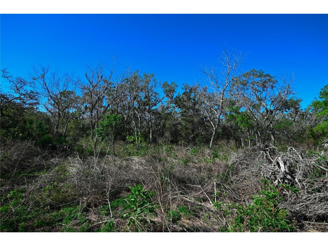 Pablo Island Road Groveland FL 34736 - BIG BLUFF LAKE R4909058 image29