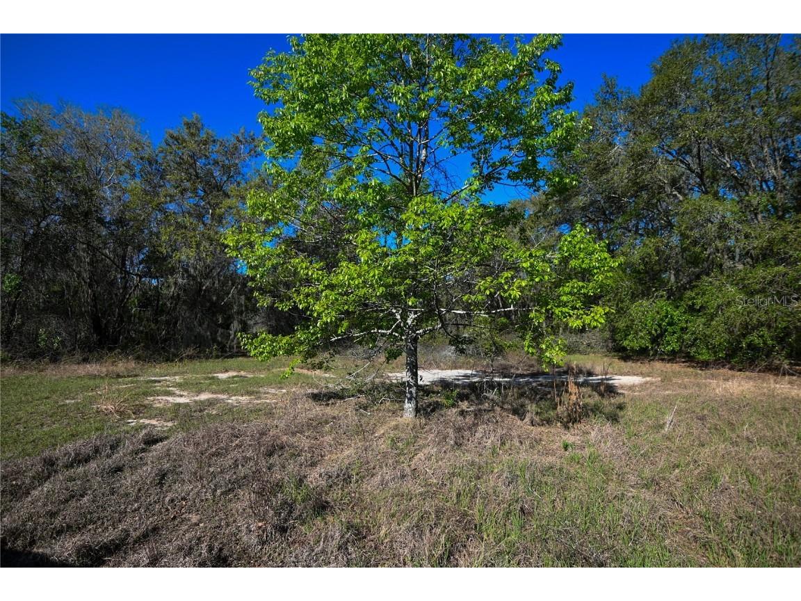 Pablo Island Road Groveland FL 34736 - BIG BLUFF LAKE R4909058 image3