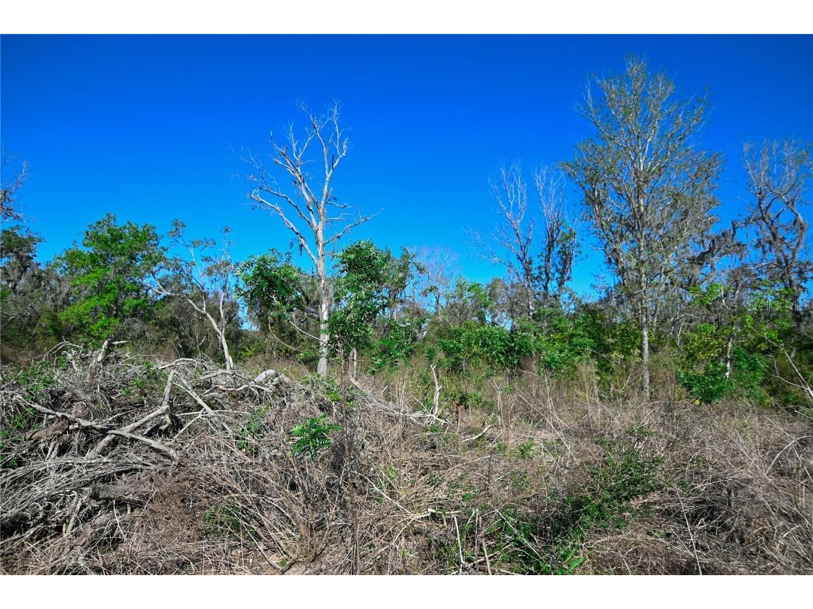 Pablo Island Road Groveland FL 34736 - BIG BLUFF LAKE R4909058 image30