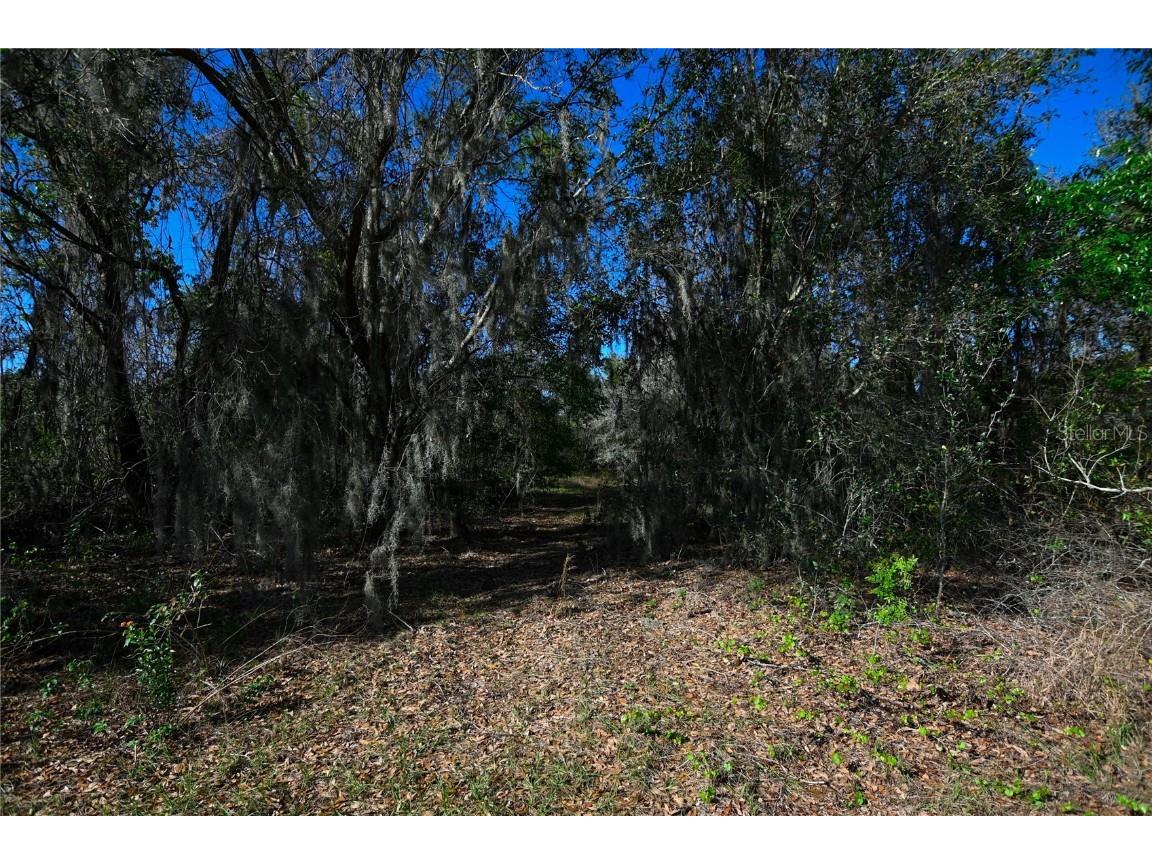 Pablo Island Road Groveland FL 34736 - BIG BLUFF LAKE R4909058 image31