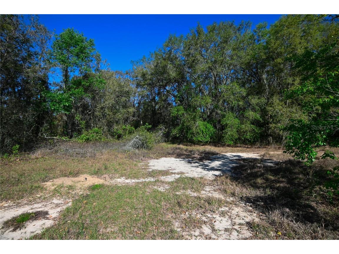 Pablo Island Road Groveland FL 34736 - BIG BLUFF LAKE R4909058 image32