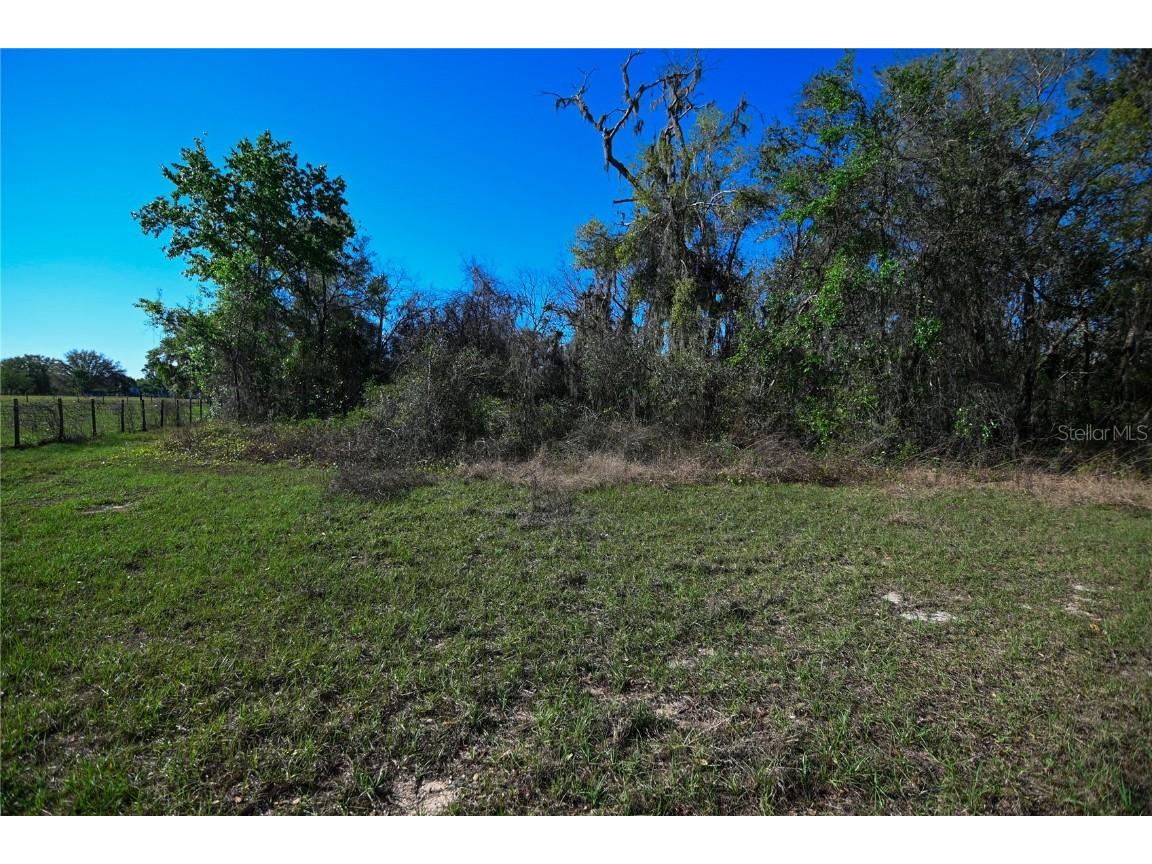 Pablo Island Road Groveland FL 34736 - BIG BLUFF LAKE R4909058 image33