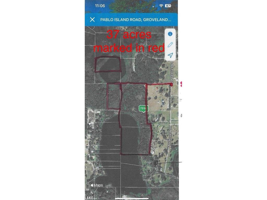 Pablo Island Road Groveland FL 34736 - BIG BLUFF LAKE R4909058 image4