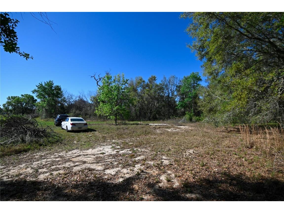 Pablo Island Road Groveland FL 34736 - BIG BLUFF LAKE R4909058 image5