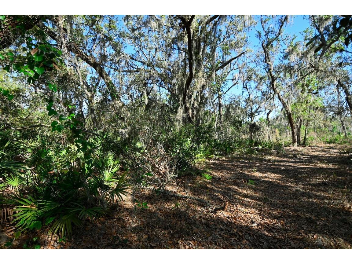 Pablo Island Road Groveland FL 34736 - BIG BLUFF LAKE R4909058 image7