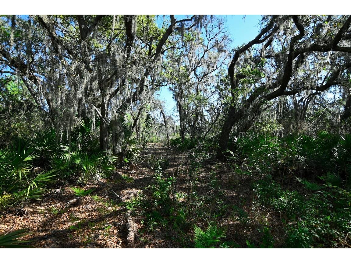 Pablo Island Road Groveland FL 34736 - BIG BLUFF LAKE R4909058 image8