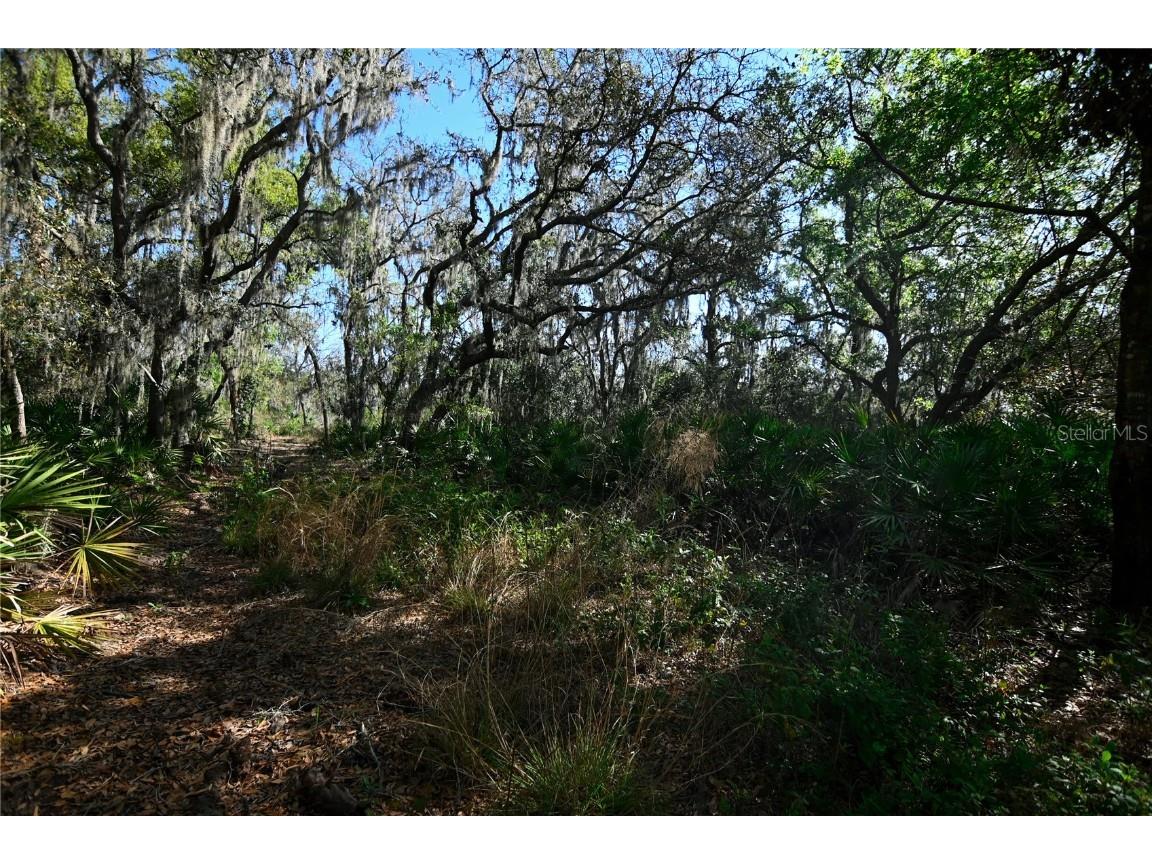 Pablo Island Road Groveland FL 34736 - BIG BLUFF LAKE R4909058 image9