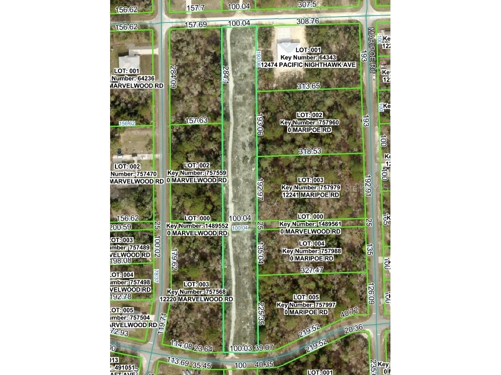 Pacific Nighthawk Avenue Brooksville FL 34614 W7879537 image1