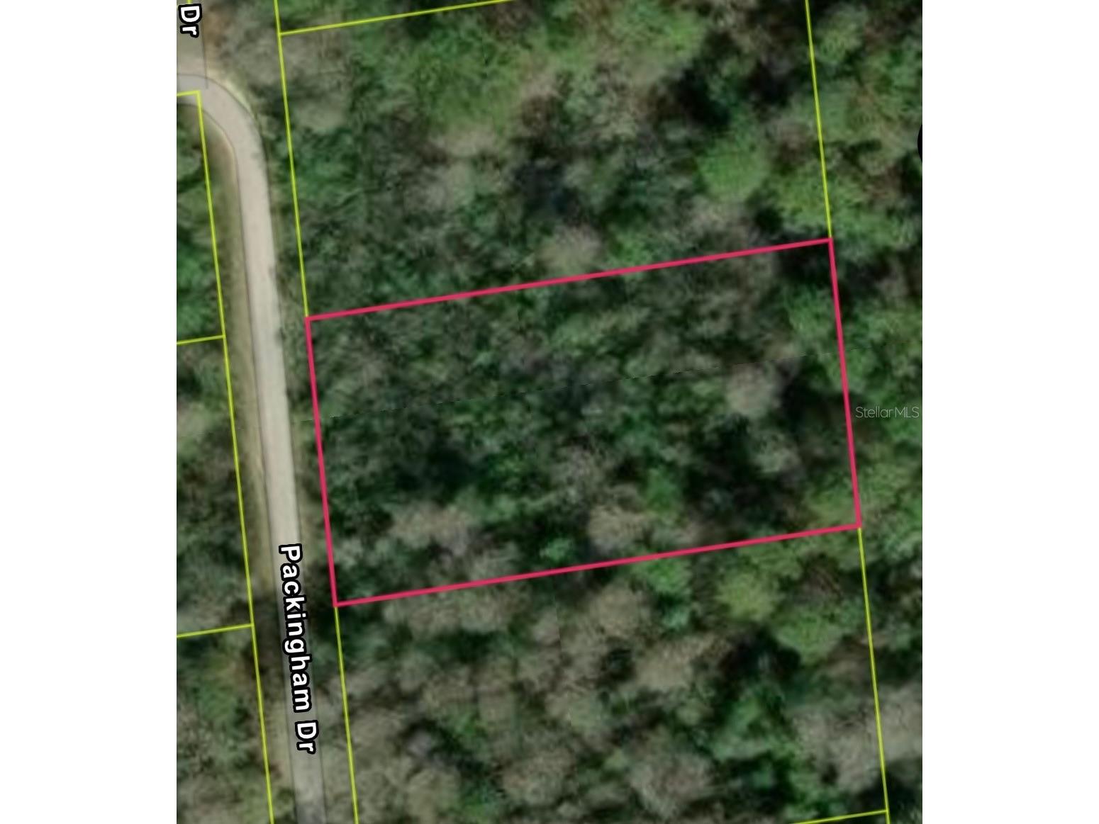 Packingham Dr Lot 10 Webster FL 33597 S5150602 image1