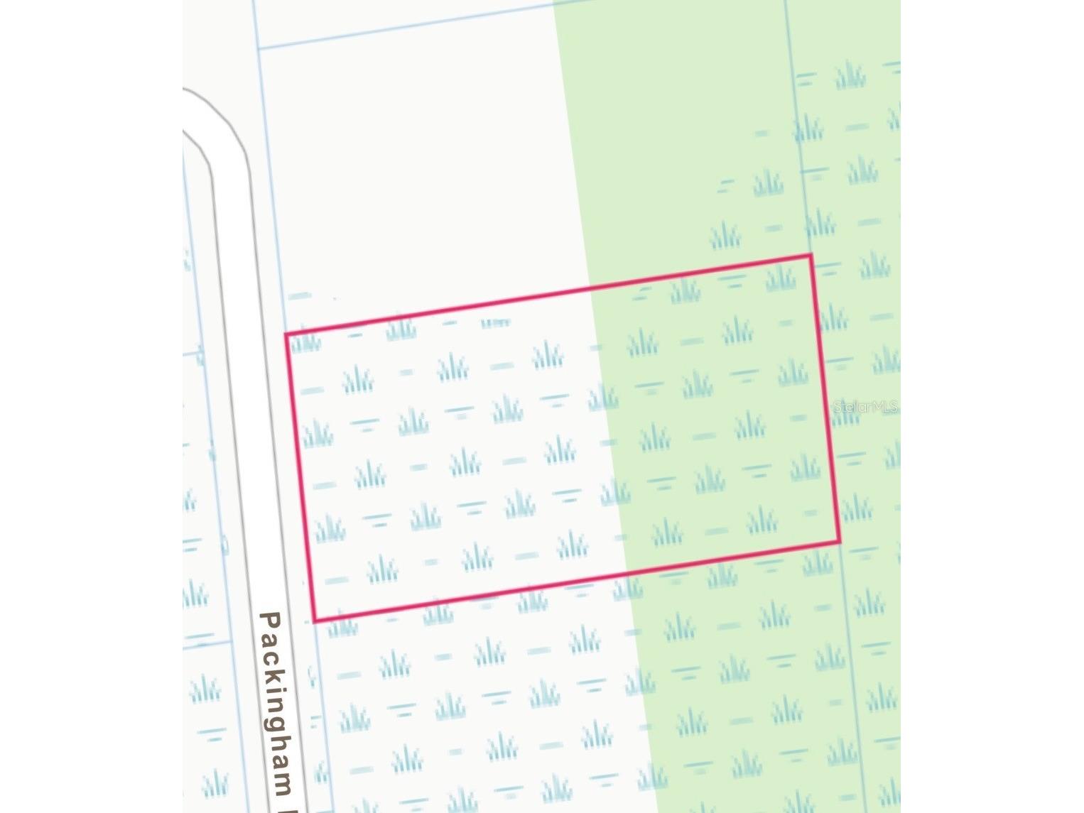 Packingham Dr Lot 10 Webster FL 33597 S5150602 image2