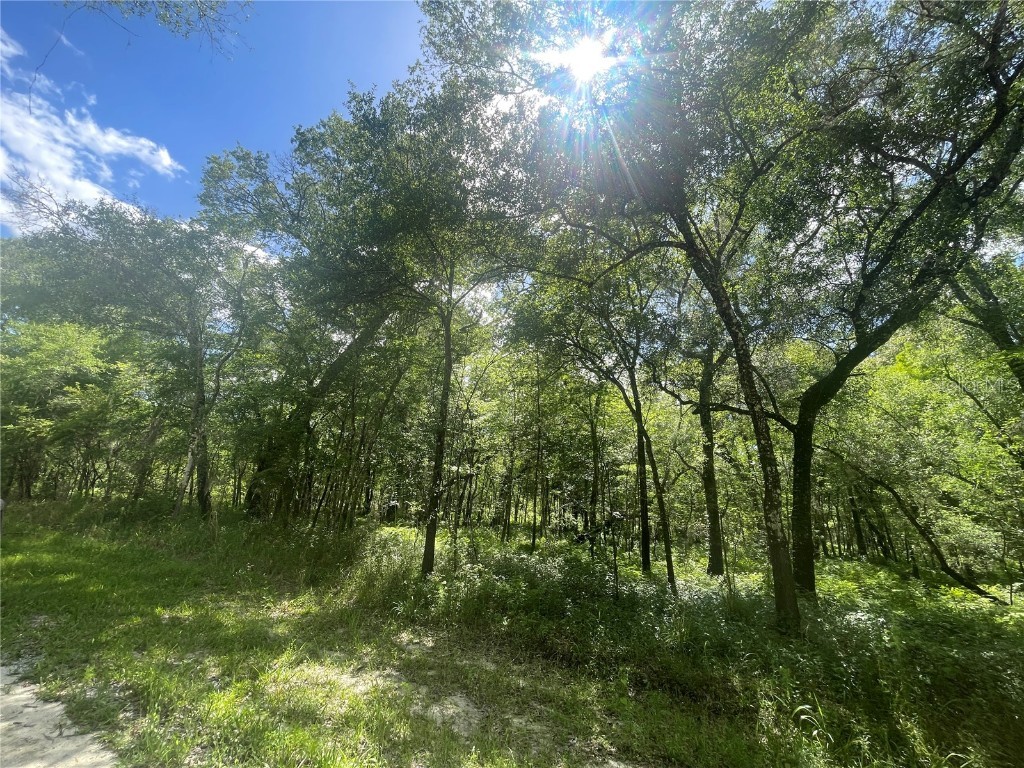 Packingham Drive Webster FL 33597 G5080892 image1