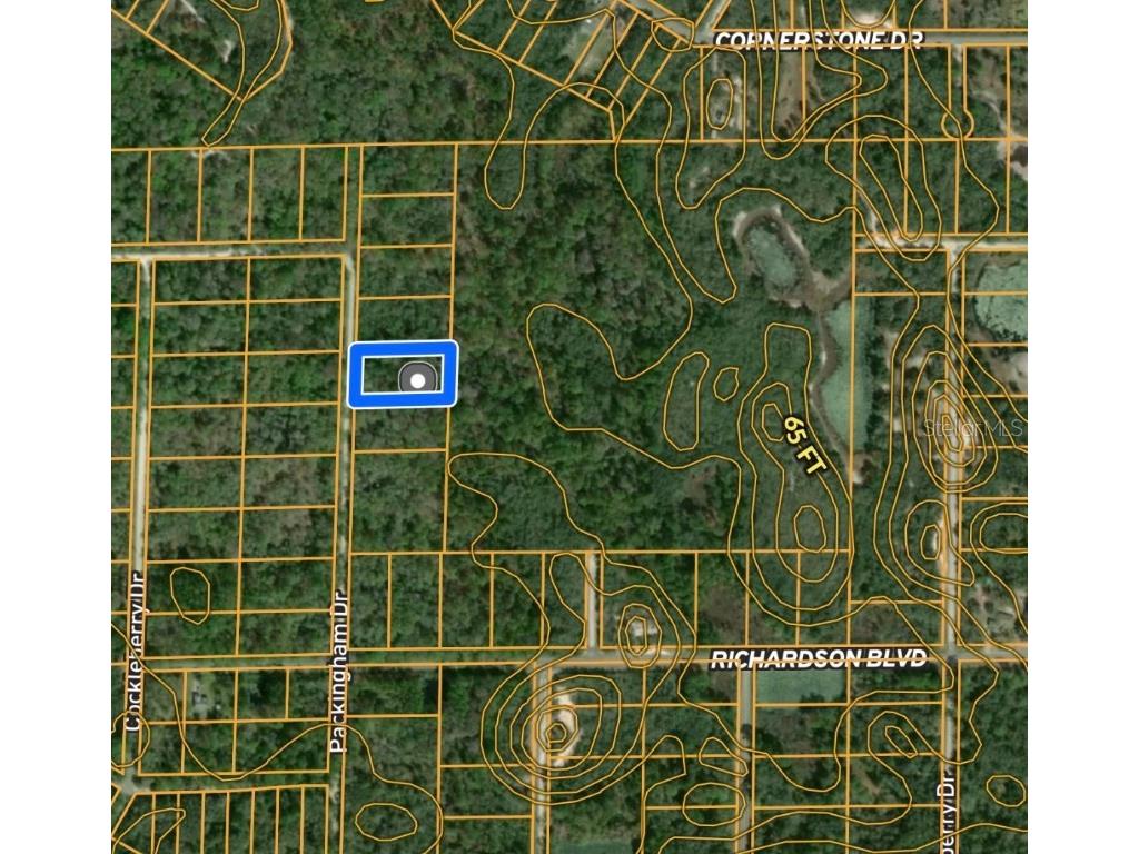 Packingham Drive Webster FL 33597 G5087730 image1