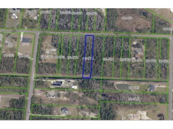 Paddock Street Orlando FL 32833 O6231999 image2