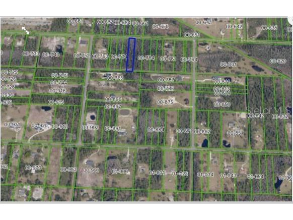 Paddock Street Orlando FL 32833 O6231999 image3