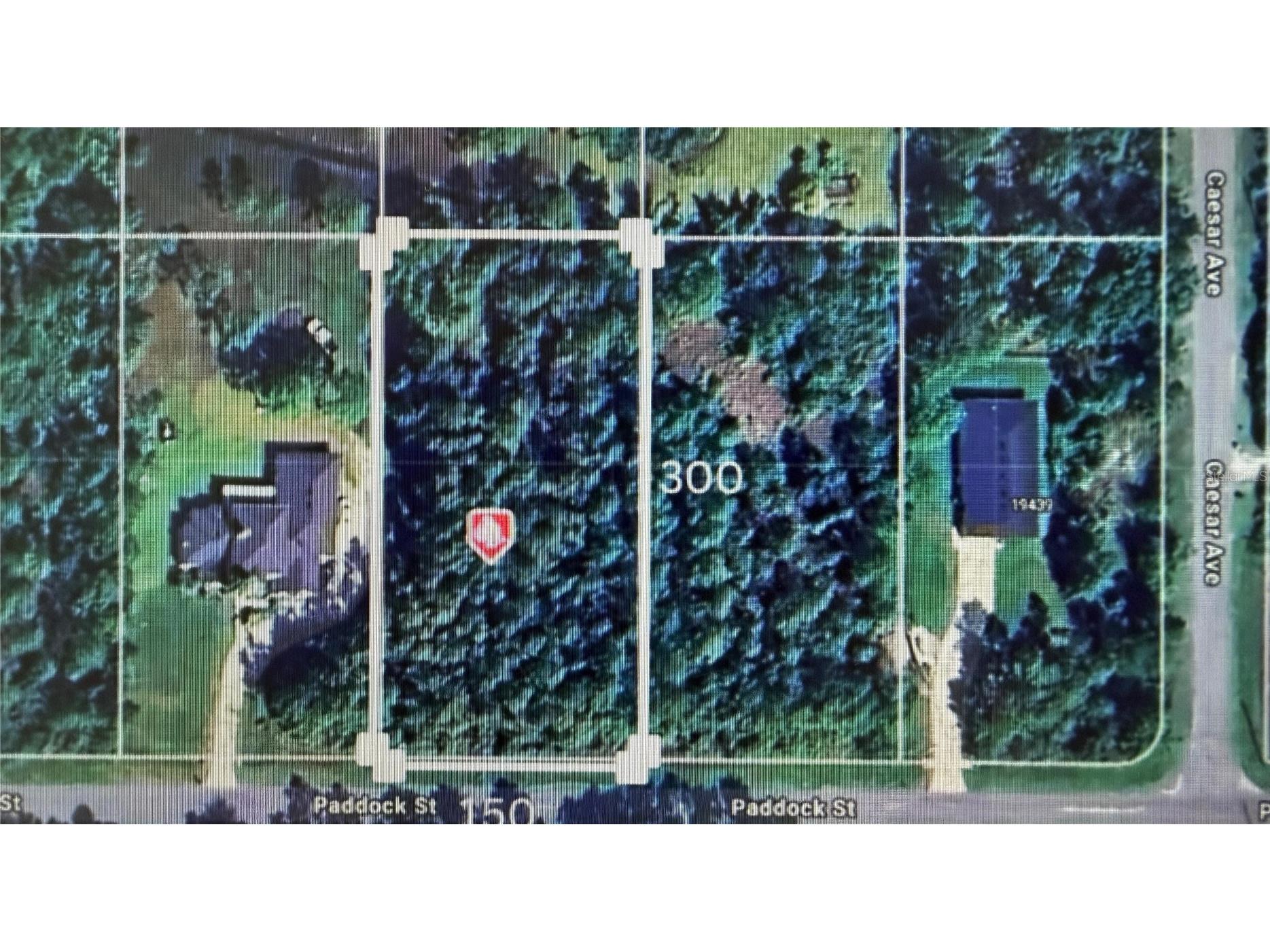 Paddock Street Orlando FL 32833 S5146863 image1