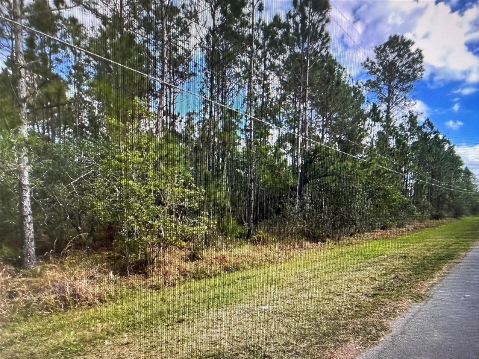 Paddock Street Orlando FL 32833 S5146863 image4