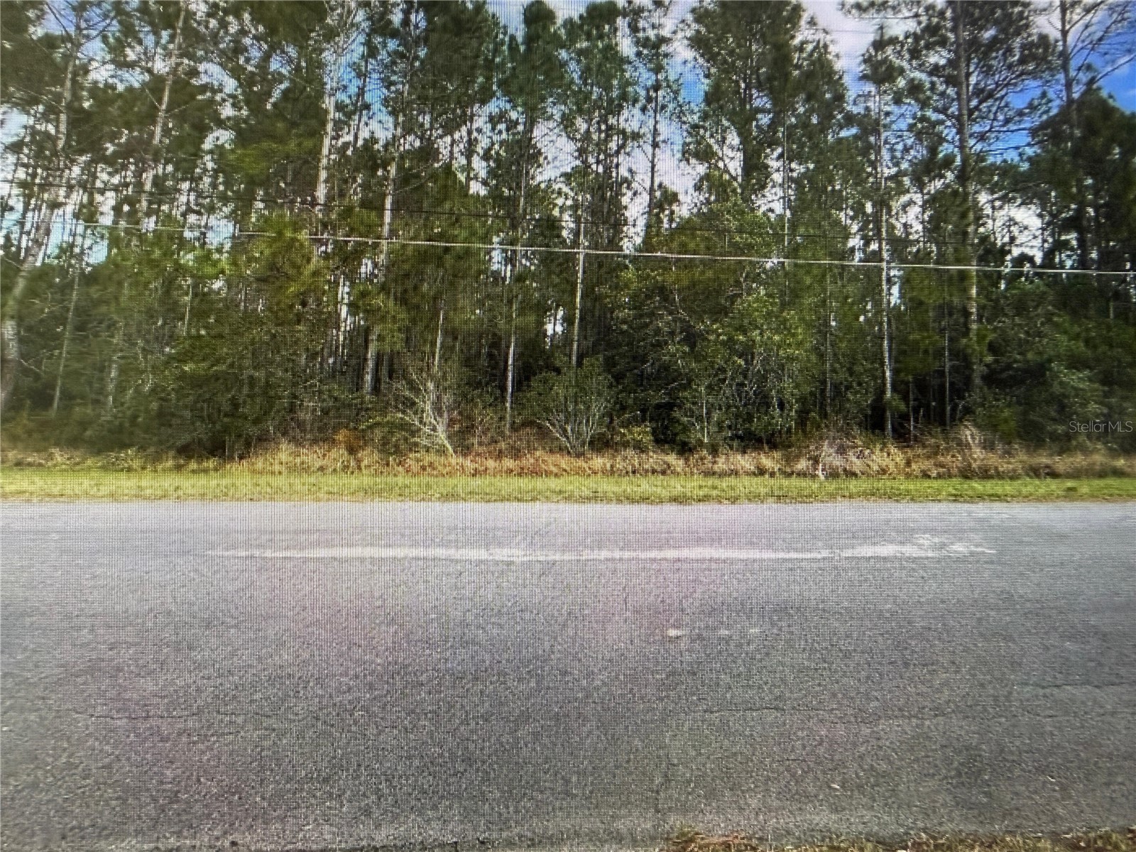 Paddock Street Orlando FL 32833 S5146863 image5
