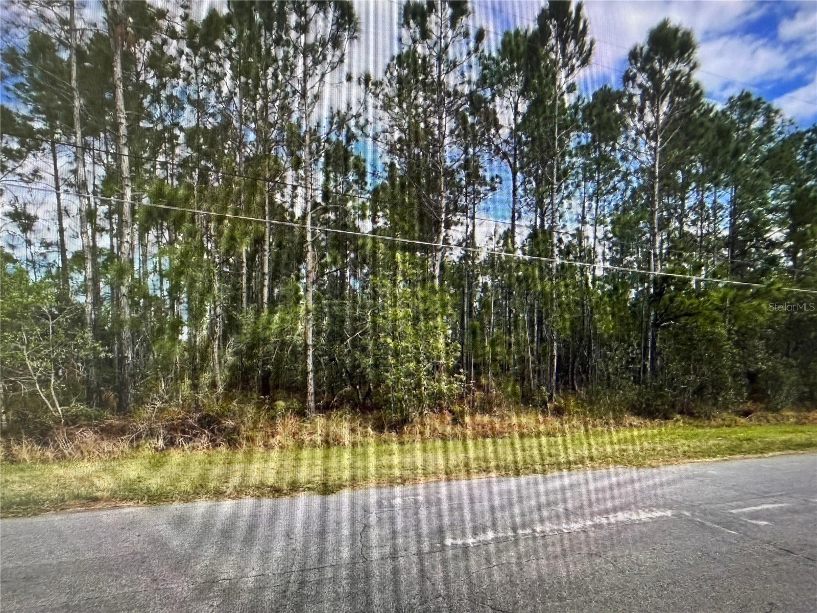 Paddock Street Orlando FL 32833 S5146863 image6