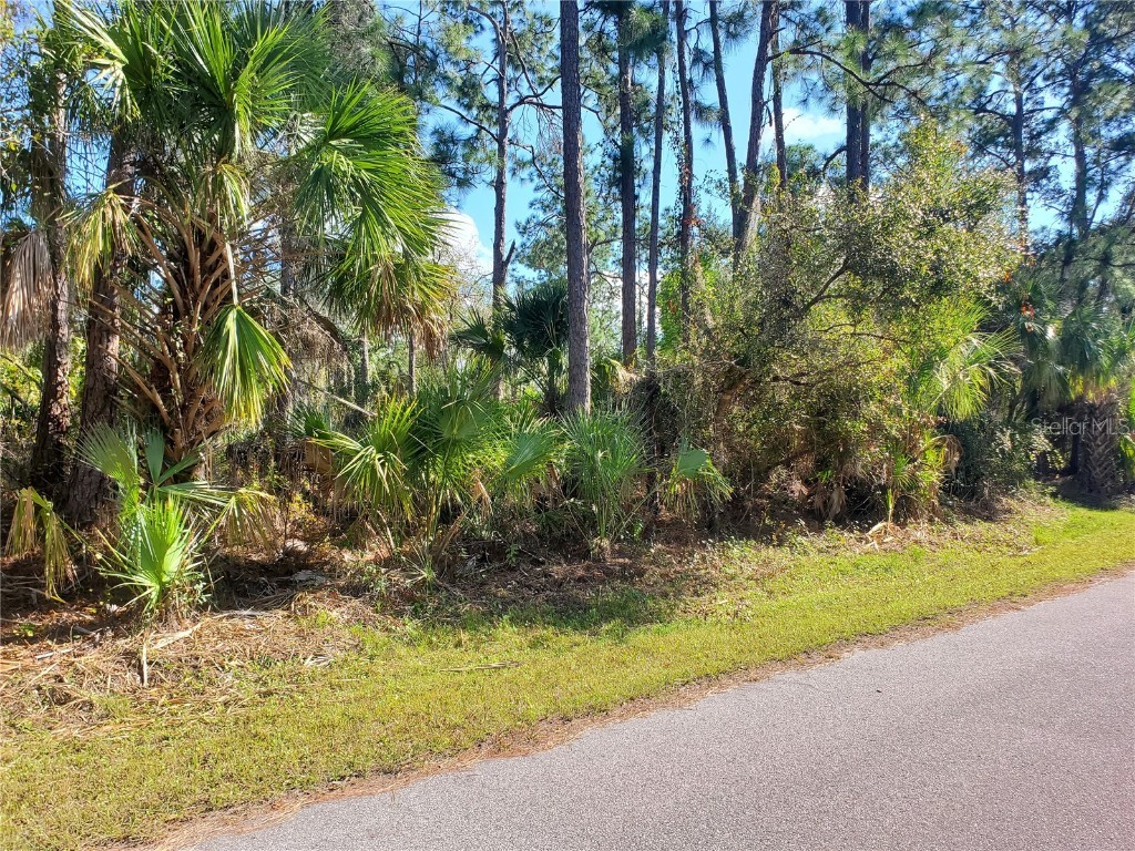 Padgette Street North Port FL 34291 T3489024 image1