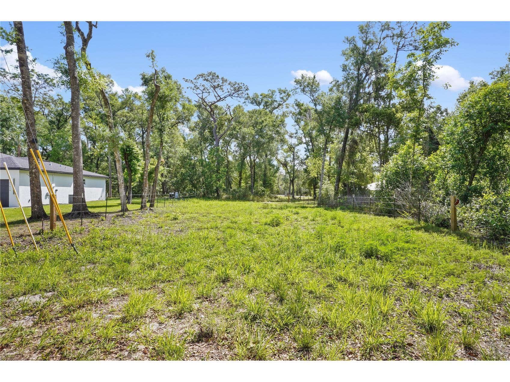 Paducah Street Mount Plymouth FL 32776 O6398530 image2