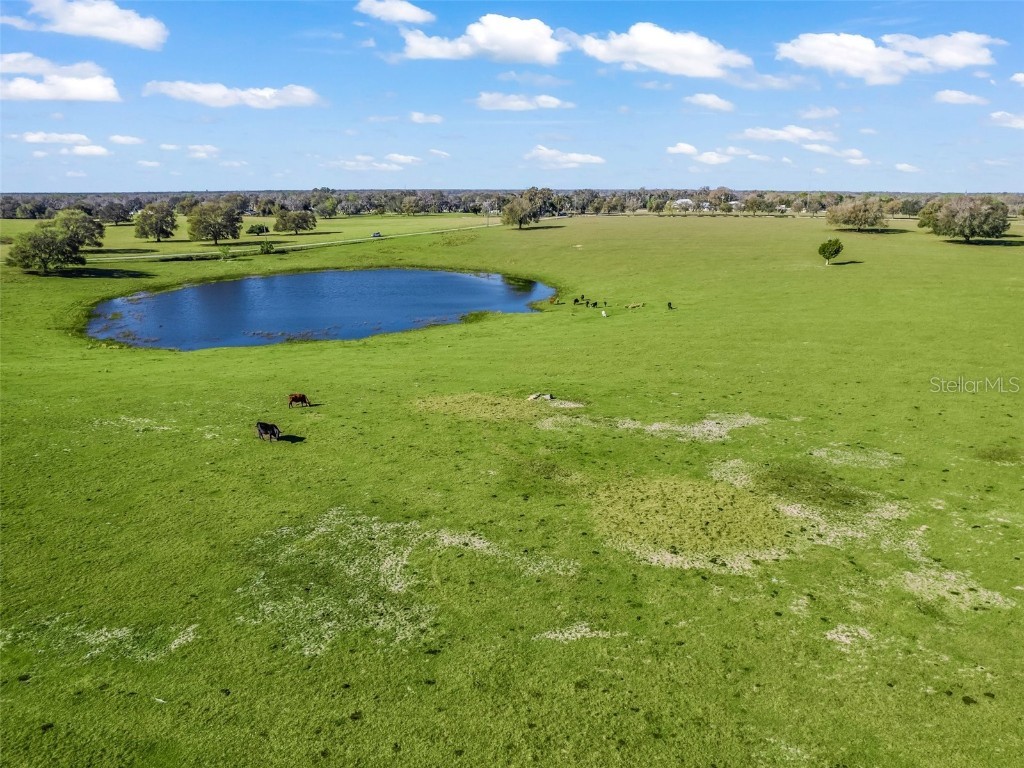 Painted Horse Ln Groveland FL 34736 G5065383 image1