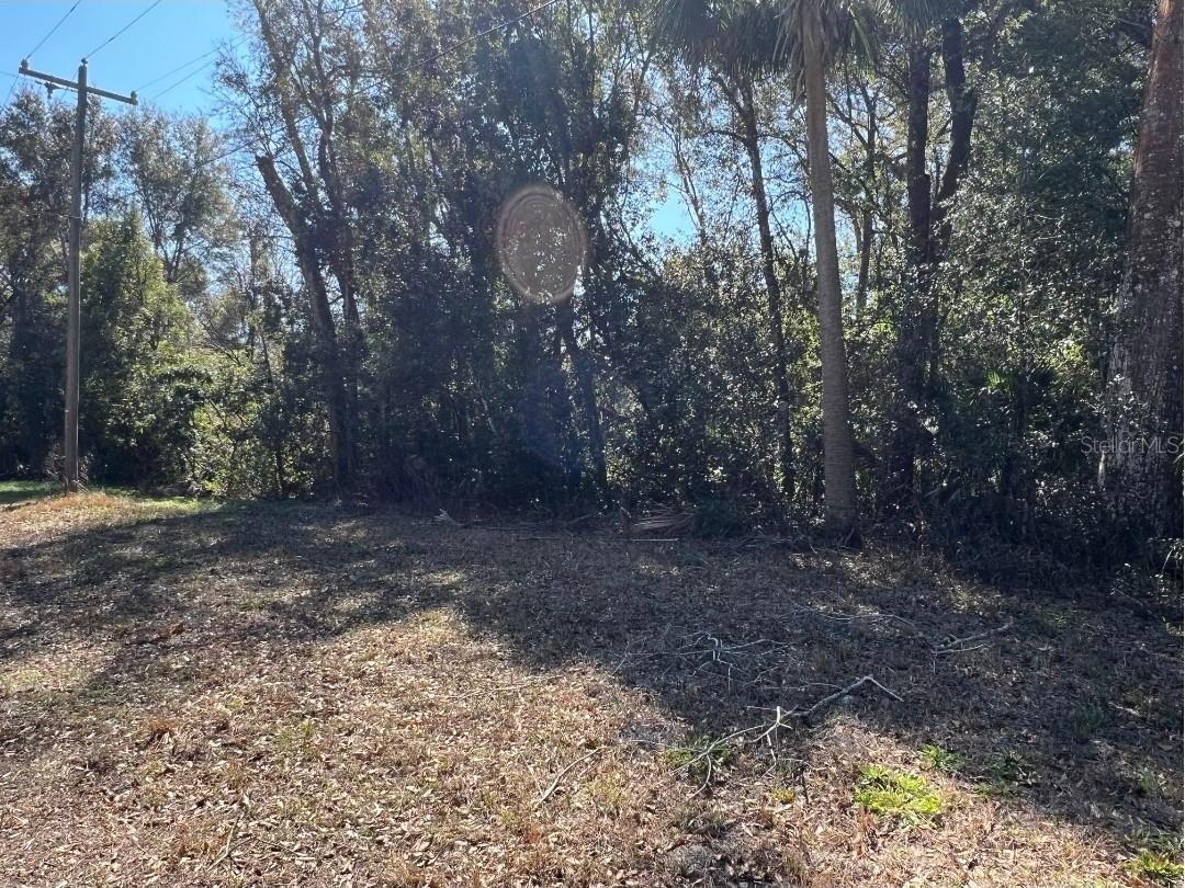 Palacky Street Brooksville FL 34604 TB8477640 image1