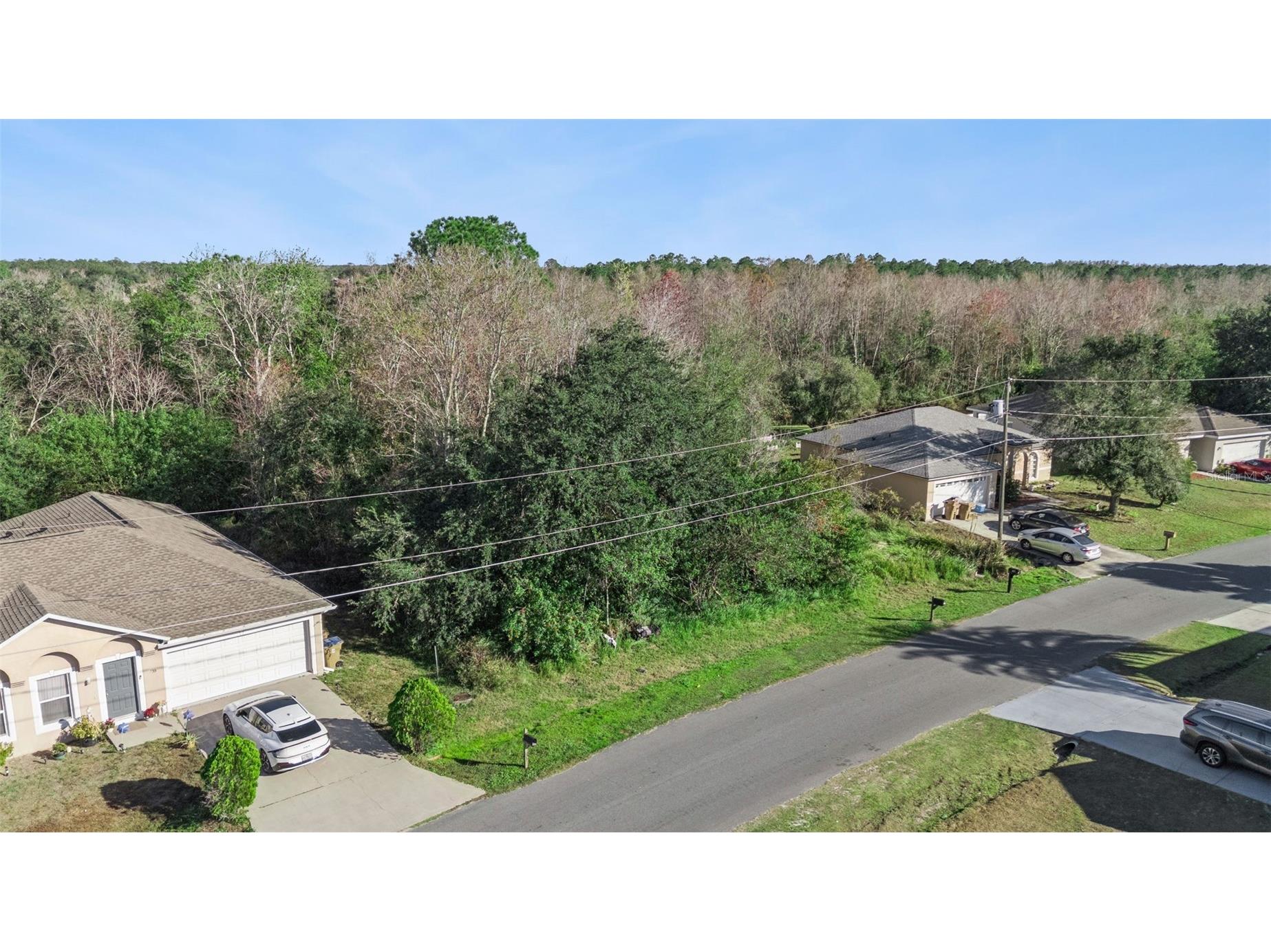 Palaiseau Kissimmee FL 34759 O6375544 image2