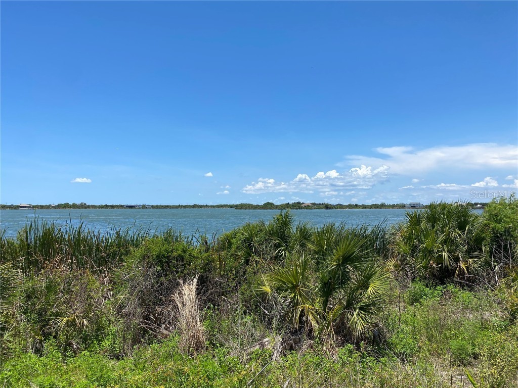 Paleo Point Drive Ruskin FL 33570 T3378933 image1