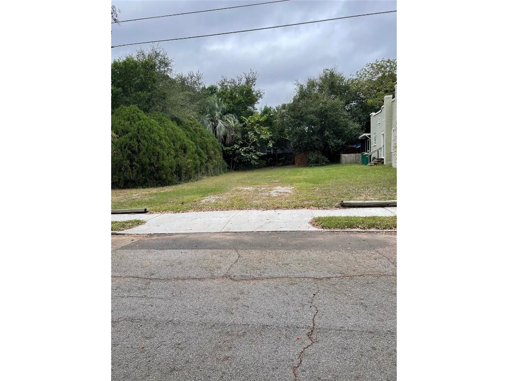 Palm Avenue Eustis FL 32726 G5075513 image1