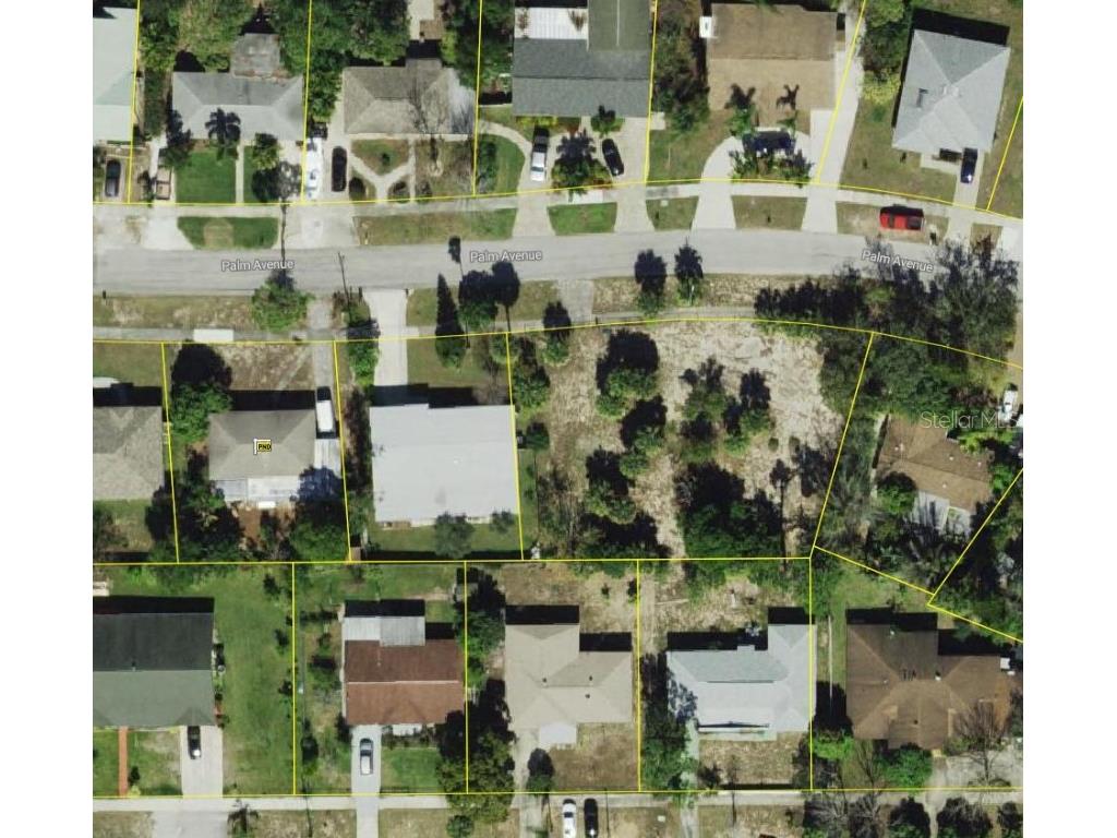 Palm Avenue Tarpon Springs FL 34689 TB8426340 image1