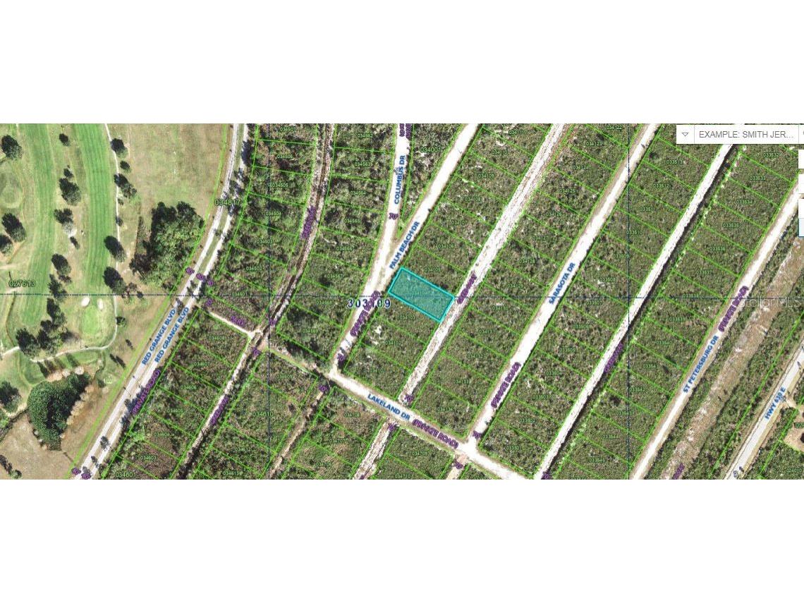 Palm Beach Drive Indian Lake Estates FL 33855 O6298073 image1