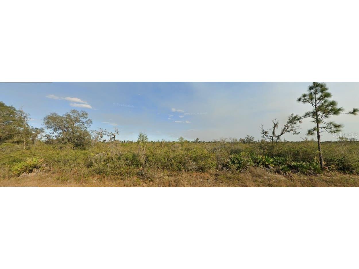 Palm Beach Drive Indian Lake Estates FL 33855 O6298073 image2