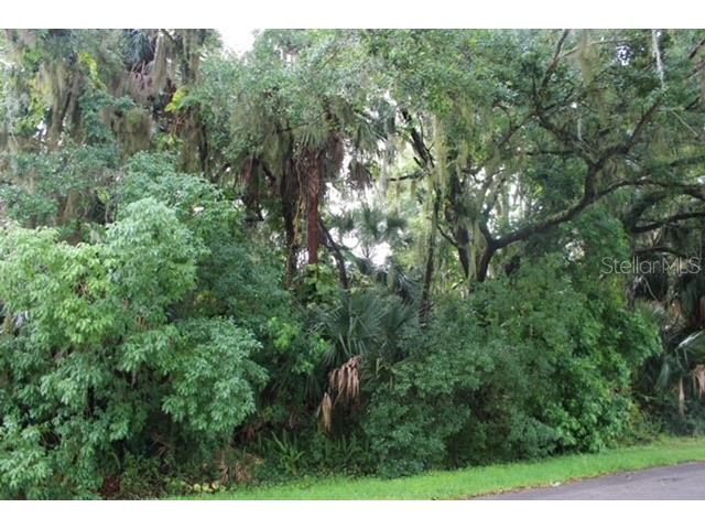 Palm Drive Sanford FL 32771 O6205935 image1