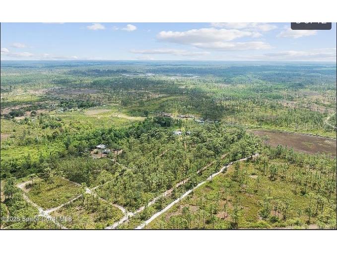 Palm Frond Road Saint Cloud FL 34773 O6241862 image3