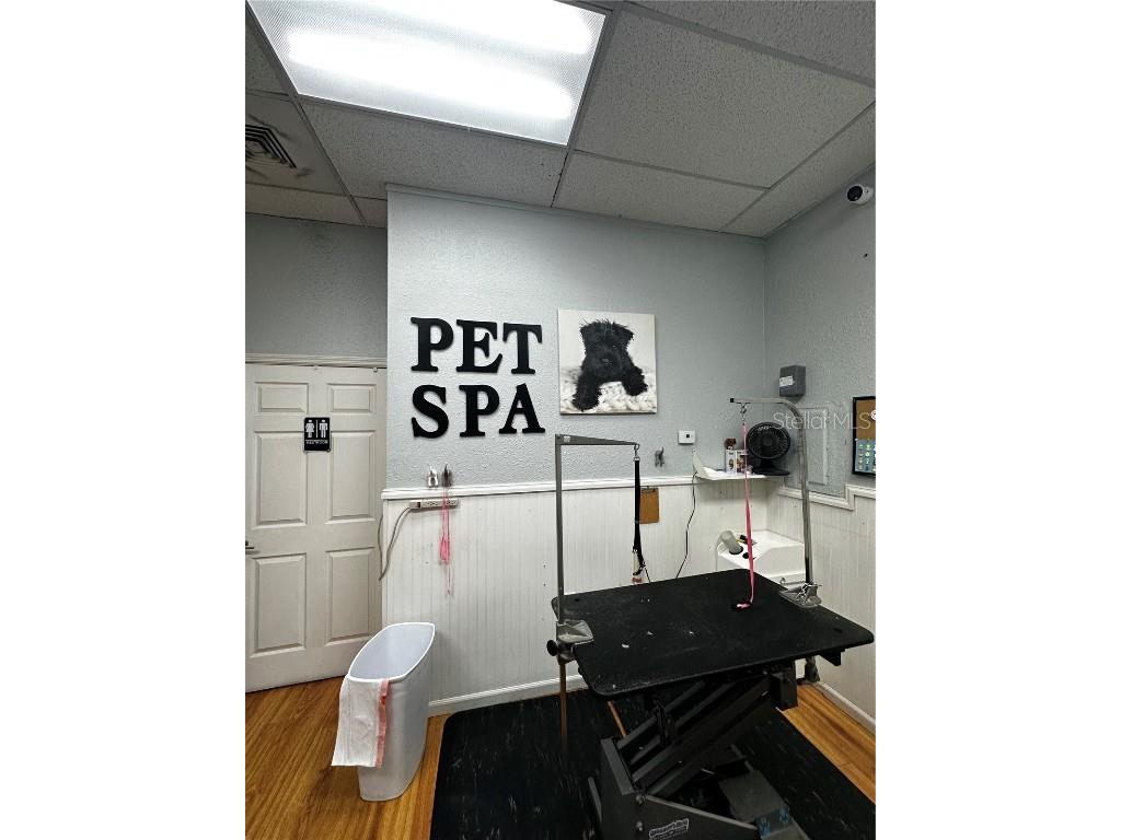  Palm Harbor FL 34684 T3506768 image1