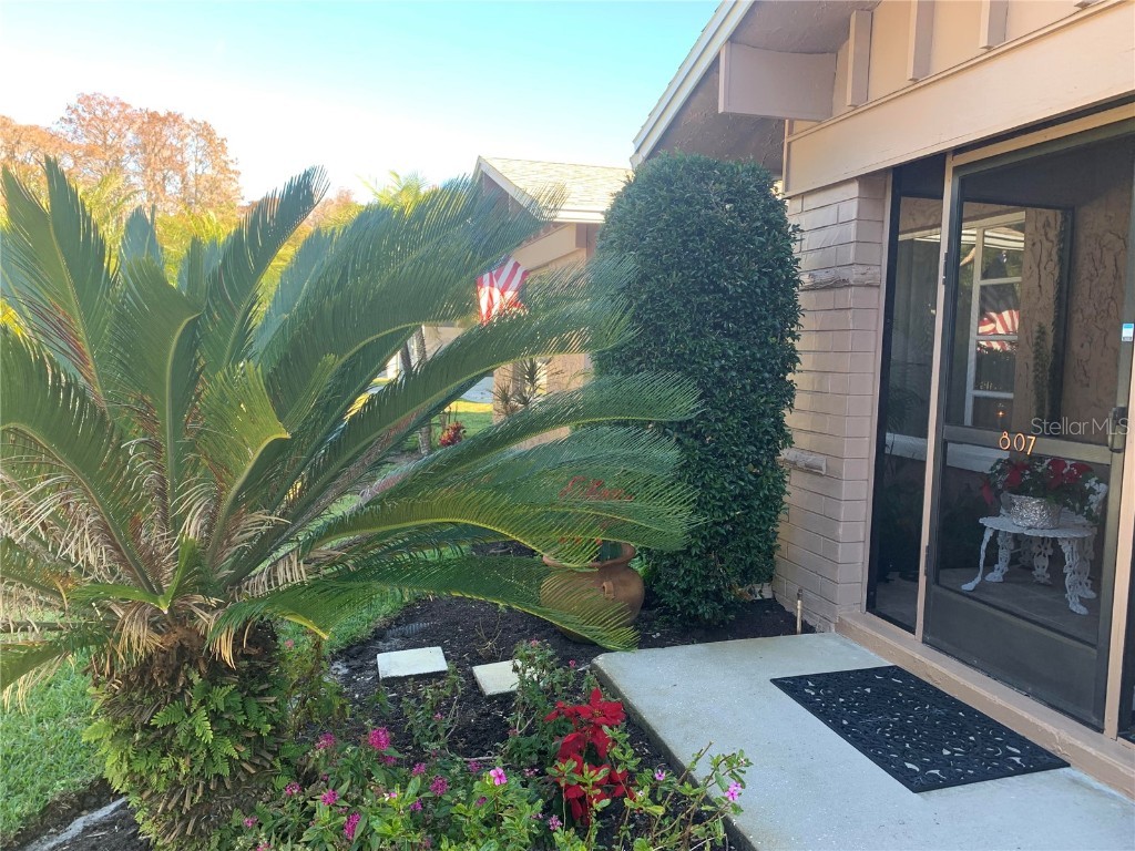  Palm Harbor FL 34685 U8188819 image1