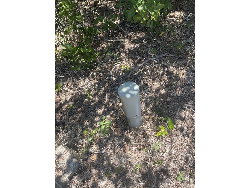 Palm Point Way Placida FL 33946 D6137427 image11