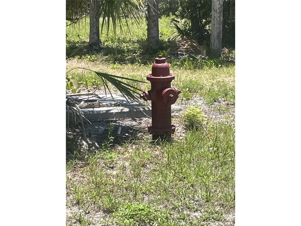 Palm Point Way Placida FL 33946 D6137427 image12